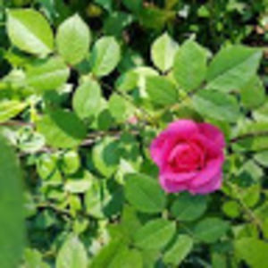 Meet your Posher, Leah